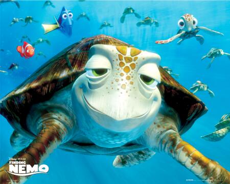 Finding Nemo on Finding Nemo   Cinema365